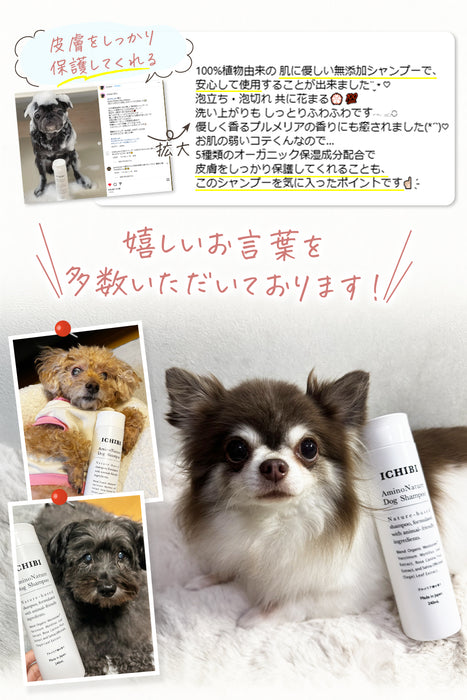 AminoNatureDogShampoo 2000ml